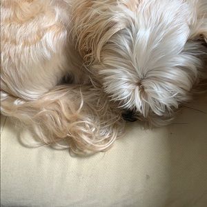 Meet your Posher, Jill